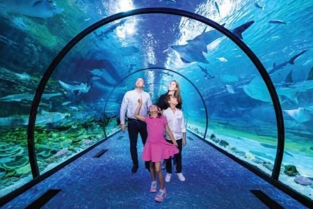 АКВАРИУМ В АБУ-ДАБИ (NATIONAL AQUARIUM)