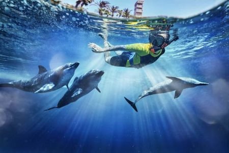 ПЛАВАНИЕ С ДЕЛЬФИНАМИ (ATLAS VILLAGE) AQUAVENTURE