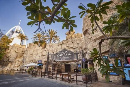 ВХОДНОЙ БИЛЕТ В АКВАПАРК WILD WADI